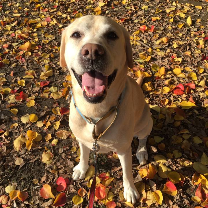 F2ca2859 dc35 41ef 8a6f c81c3c6e72dc