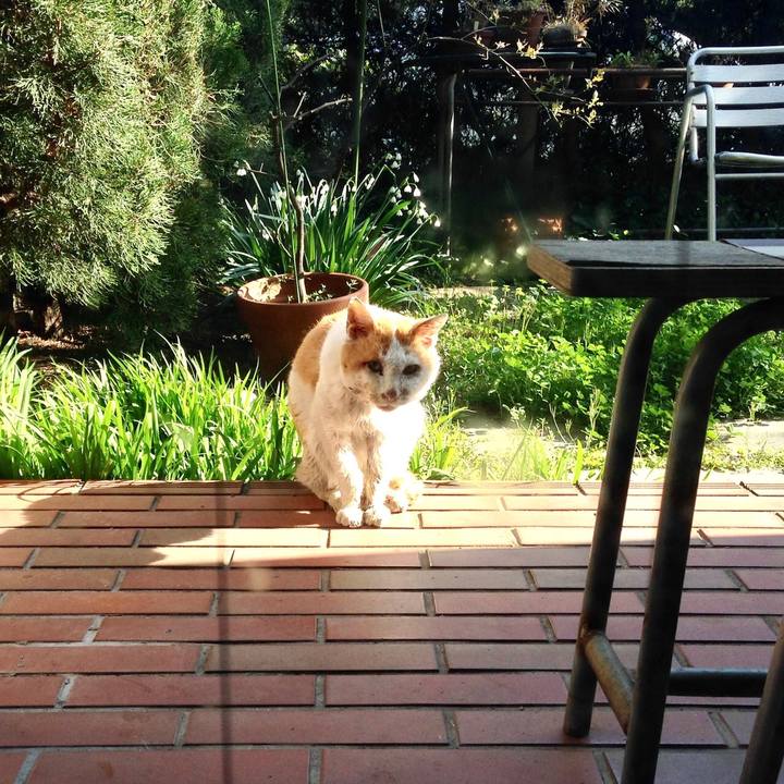 F2ca722d 1fa0 46da 84bf 434e58db4929