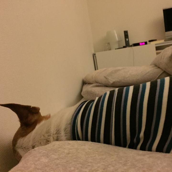 F2caf04c 90eb 451c 899e 8e3626f678ef