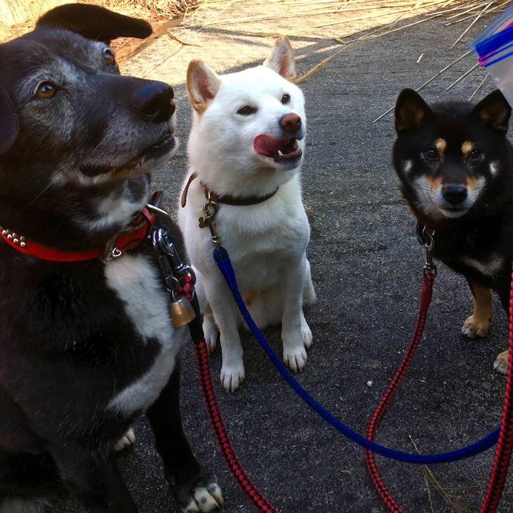 F2cc3ed6 ca0d 494b 8994 995afe3067ea