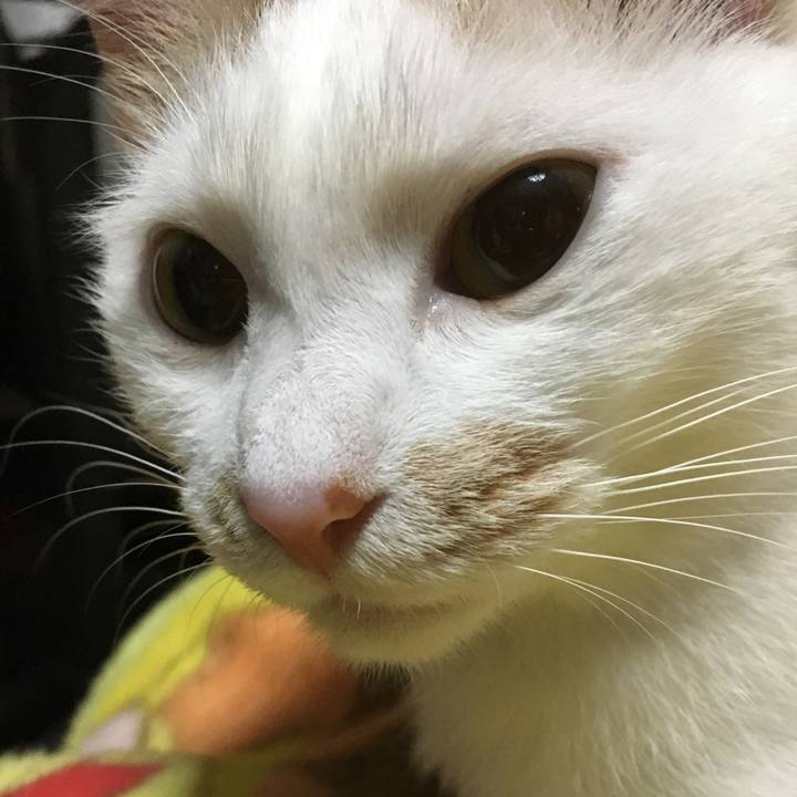 F2cc9454 40c2 4548 8c78 05e58cb1ec76