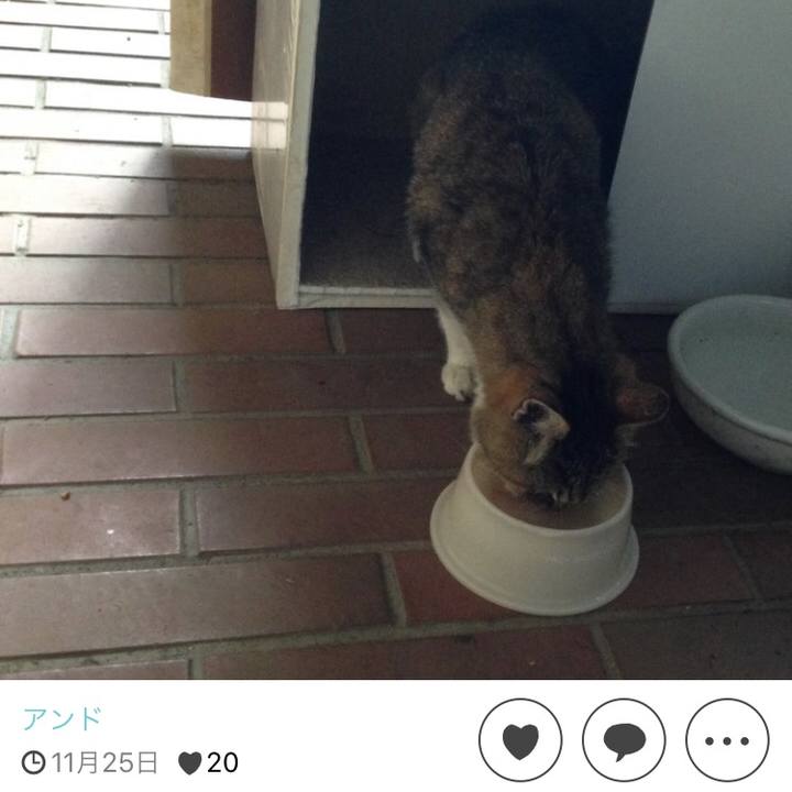 F2ccef1e 708e 4f07 b391 7ae8eba4da89