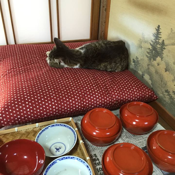 F2cd041a 1d18 4835 946d 6c8eeb53df6c