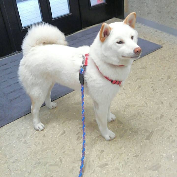 F2cd13d7 aa3a 4aa0 9f9b 3a5577550c96