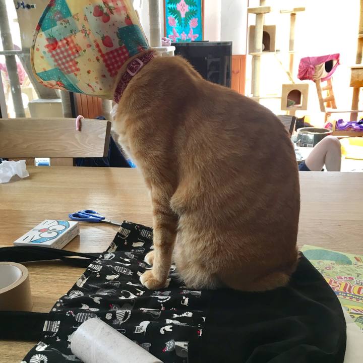 F2cd3495 caad 4a46 9a2f 9ae7540520a8