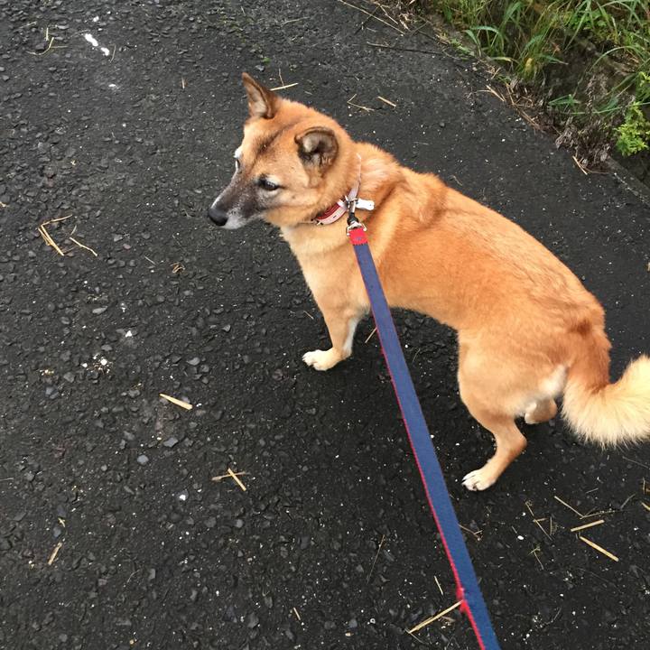 F2ce241c 33d5 4194 b691 b2af9efbd160