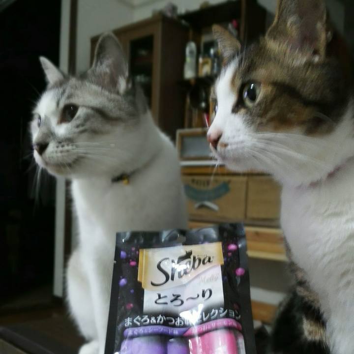 F2ce5ea0 4cdd 4e39 a84e 06b9180ebe5c