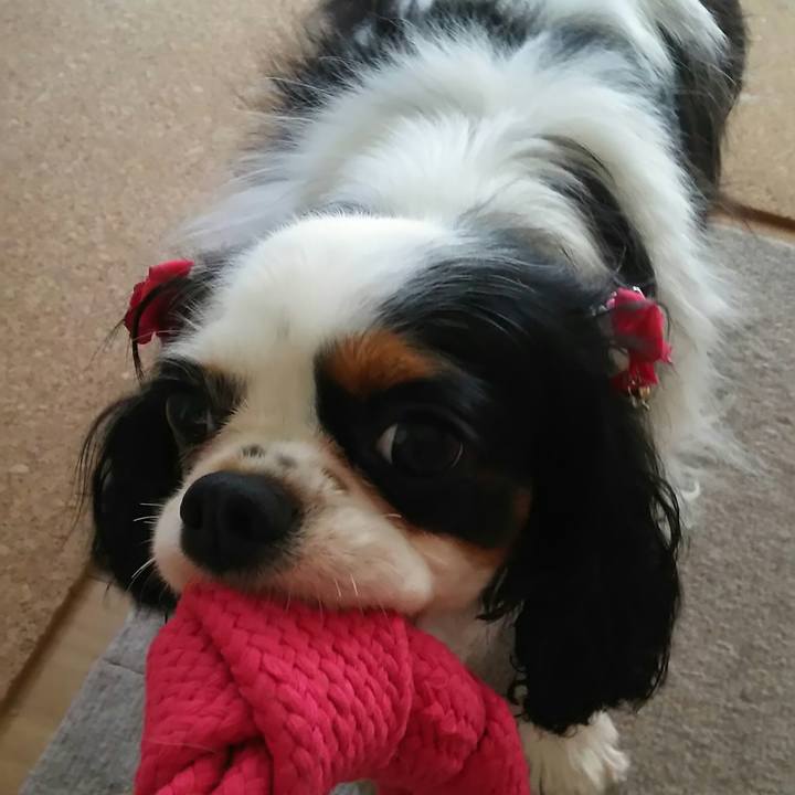 F2ce72fb 3ac8 42eb 8863 ee42b7c4de43