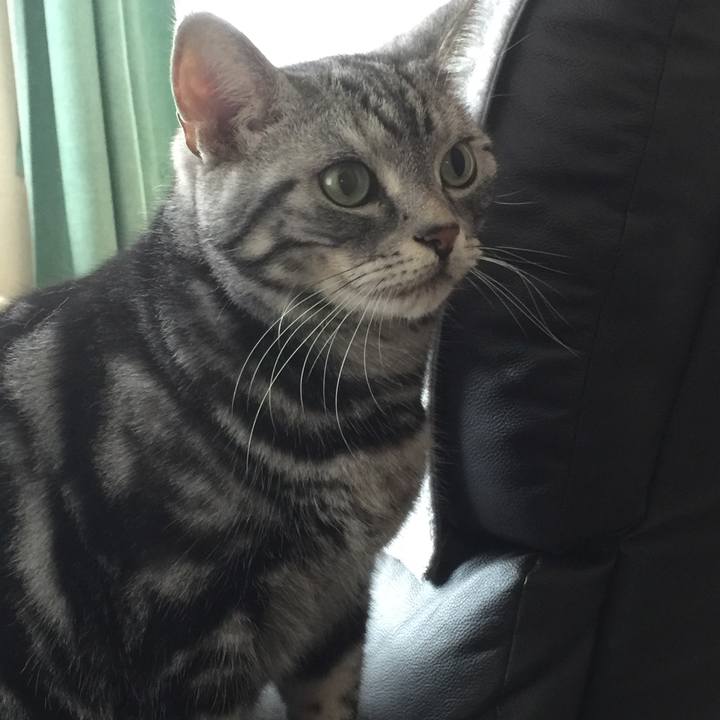 F2cedb60 a55a 44d3 b3ca 21e517797cc3