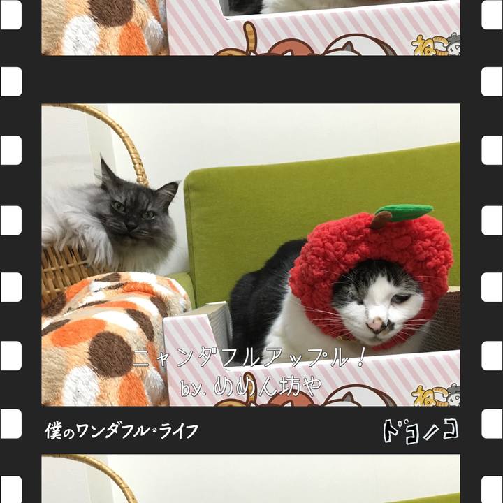 F2cf134b e408 4b21 a661 49fa26d9a920