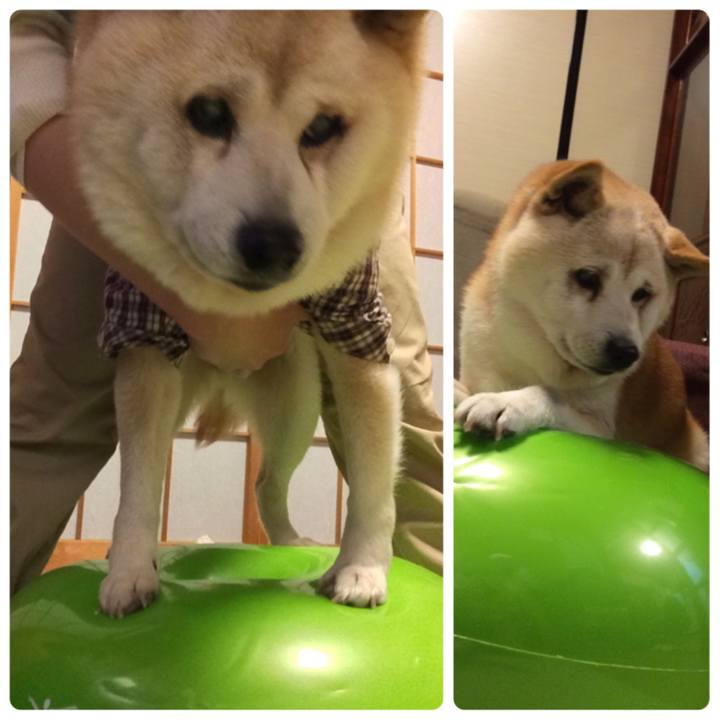 F2cf179a 47e6 4d2e 8291 936cbba245d3