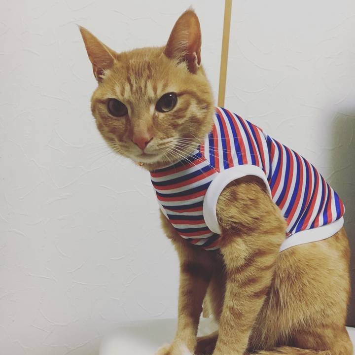 F2cf5dec b0e9 4a37 9eeb 3b033542b330