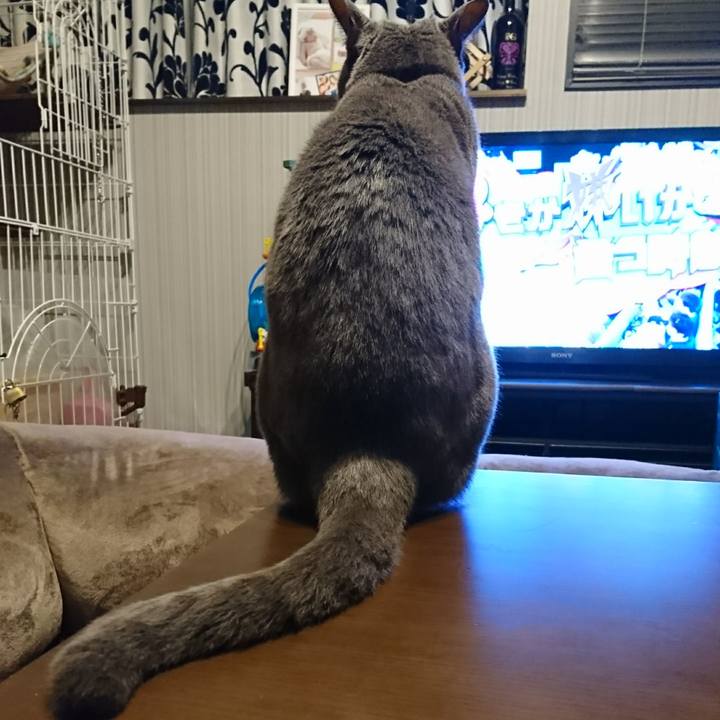 F2cfb989 006c 4c13 a750 655f2f30658e