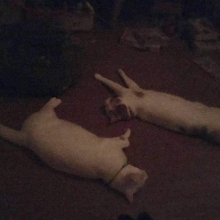 F2d00998 5e3a 48a1 94ba c21d6318f42f