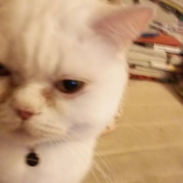 F2d02e8d ba69 4622 b254 3938c14ce941