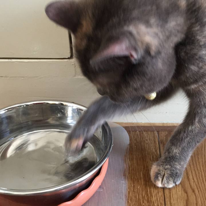 F2d0659d b38f 4cc3 8231 8bdf2f65efbf