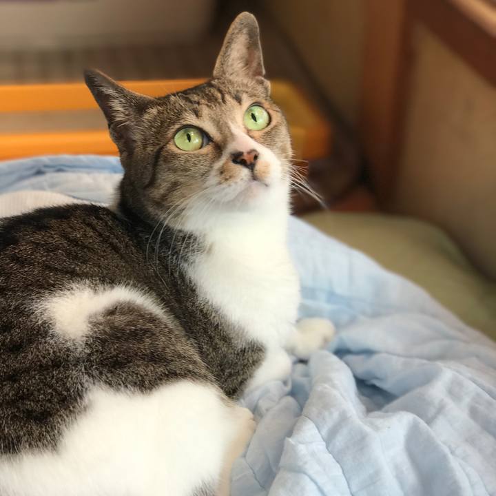 F2d0b76e d0ae 4050 aeac b0d37cc5ea49