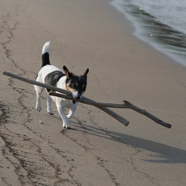 F2d1199a c7a3 4217 bf79 f962999b19e5