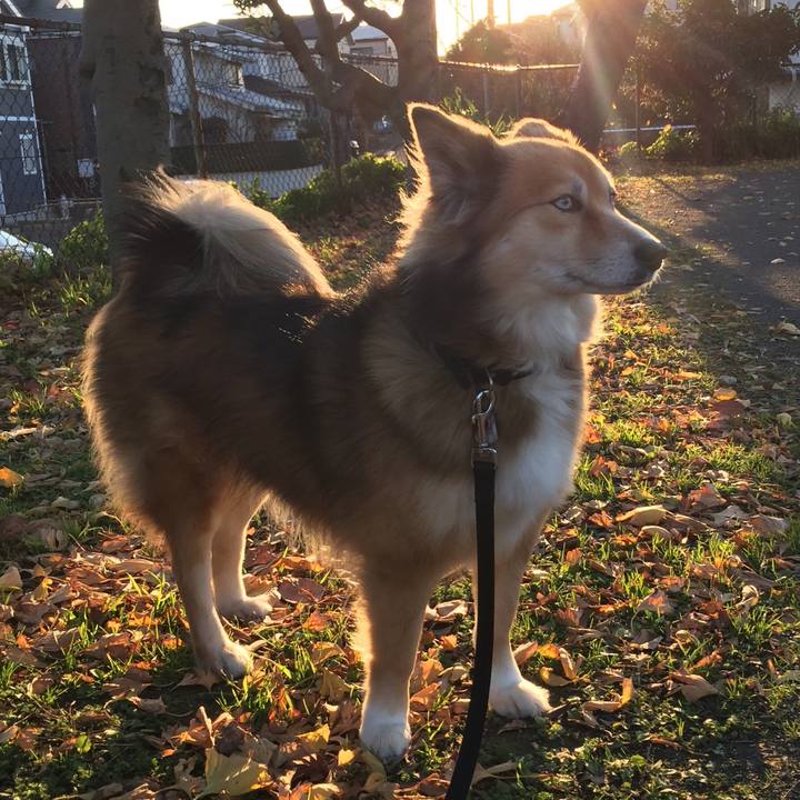 F2d12d8c 4dca 4135 9241 6051c7f015b3