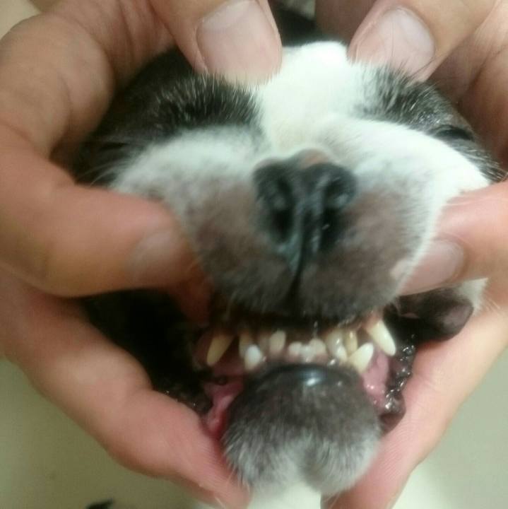 F2d1a639 a2db 474d bfd6 9aa7c248934e