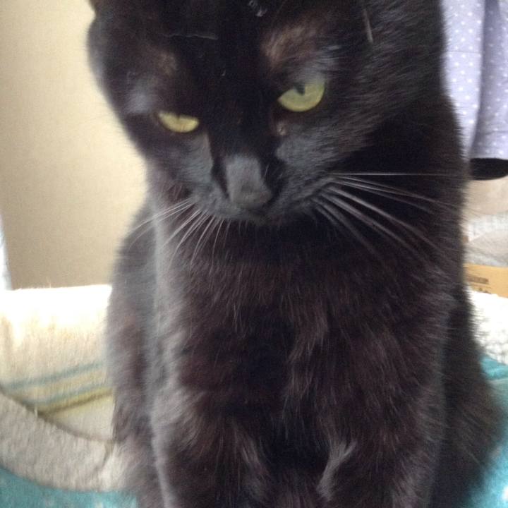 F2d20d6e b5a5 46fd beb4 c08827db58ca