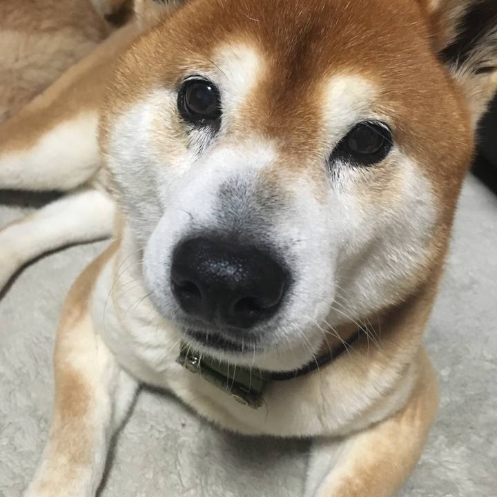 F2d2292a 0eea 4f6f 9ba4 7e6986c33540