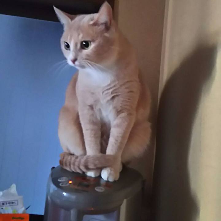 F2d23b01 9cd3 4c34 b11e e3e8b88dccd2