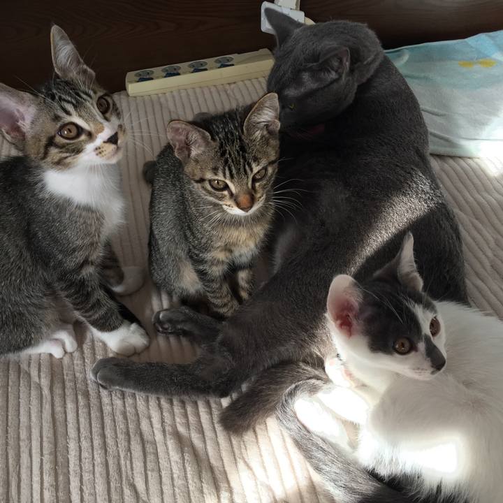 F2d25c75 3ee3 4d81 8a3d c832b9190950