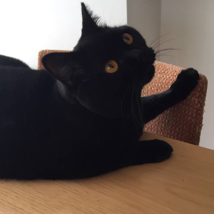 F2d2ee46 8a48 4b57 82b4 665a97838ee8