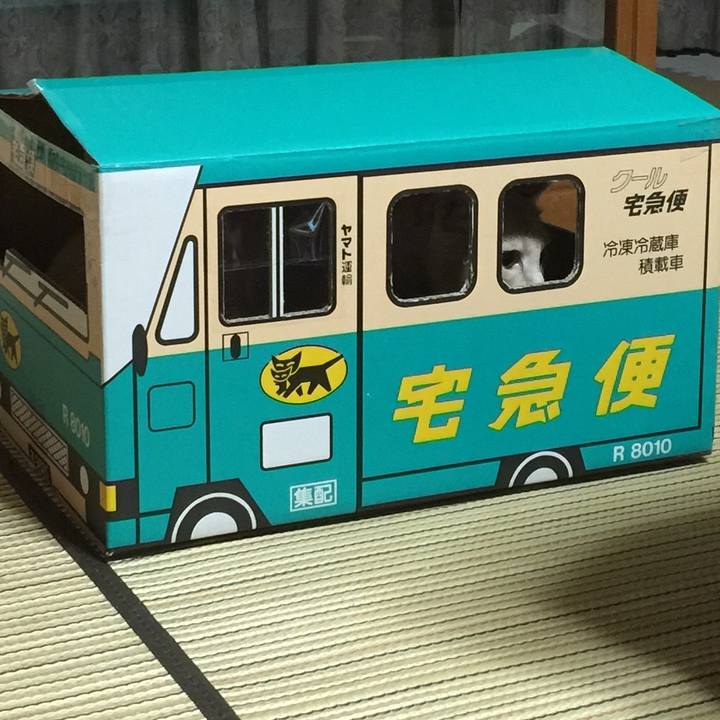 F2d39c9d 0ffb 4347 ae02 6d3fd39da4fd