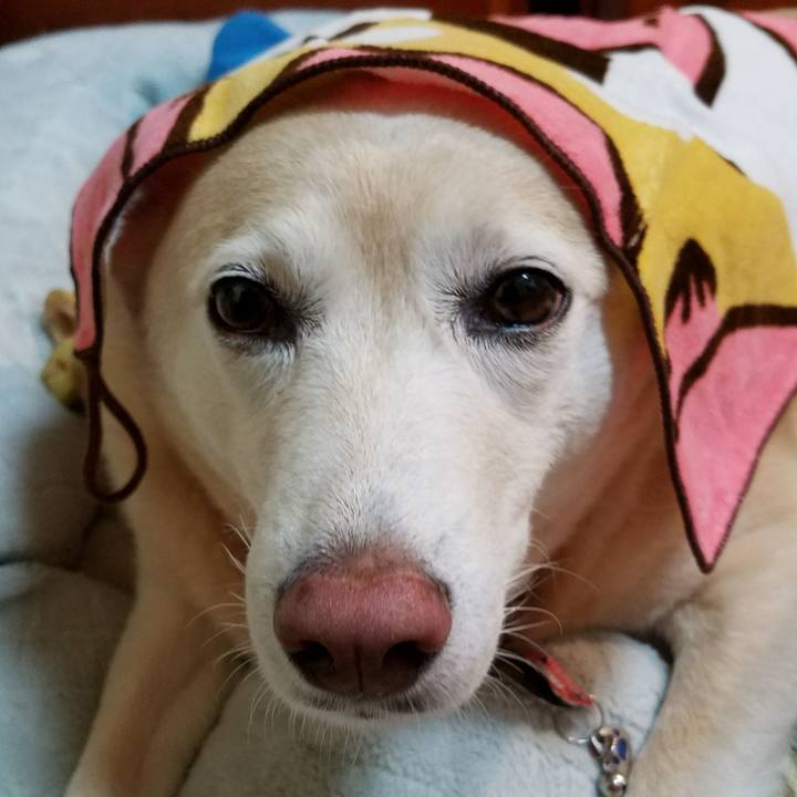 F2d470da abfb 4f65 8ee4 bc035214fef2