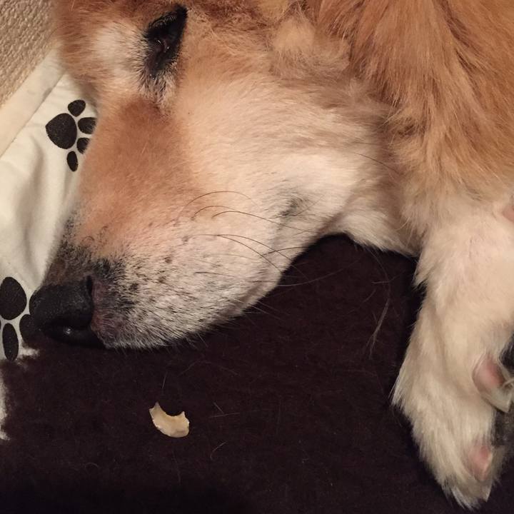 F2d55160 8663 44d4 bc06 52a765c6c978