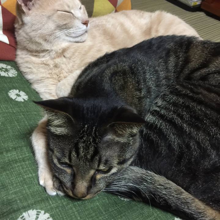 F2d5673f ce79 4db7 8238 2c4f3fc0c199