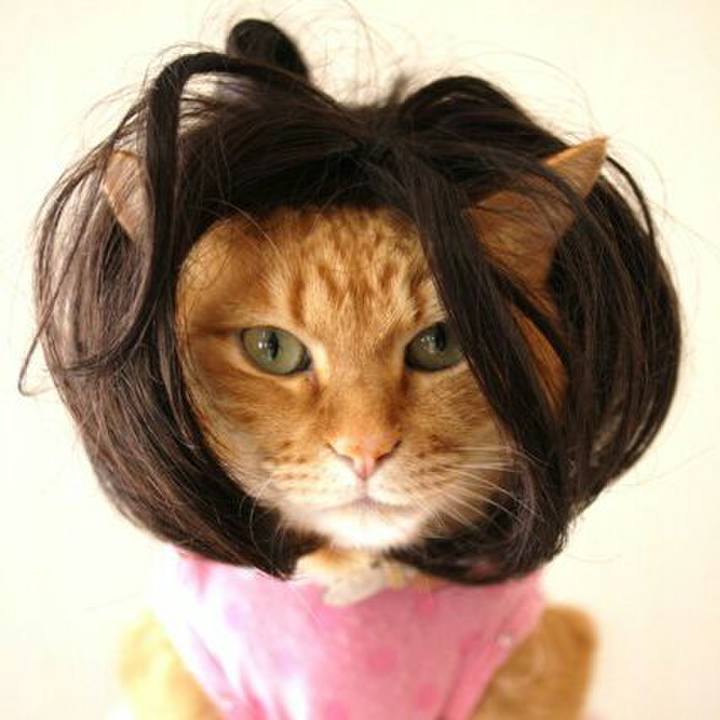 F2d5a017 cb6b 46bd bd7e a3d4c4677855