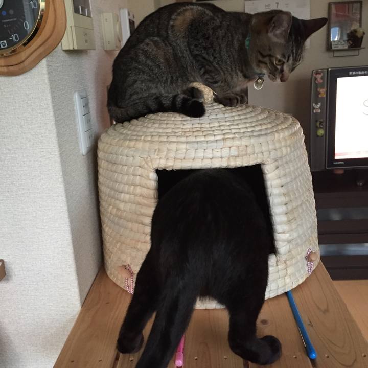 F2d5d981 d606 4e3d 85be af585bafddc8