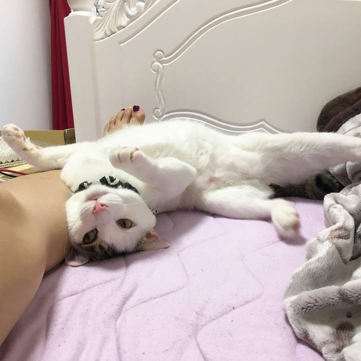 F2d62a77 330d 4f25 bf43 6a5c0beec13d