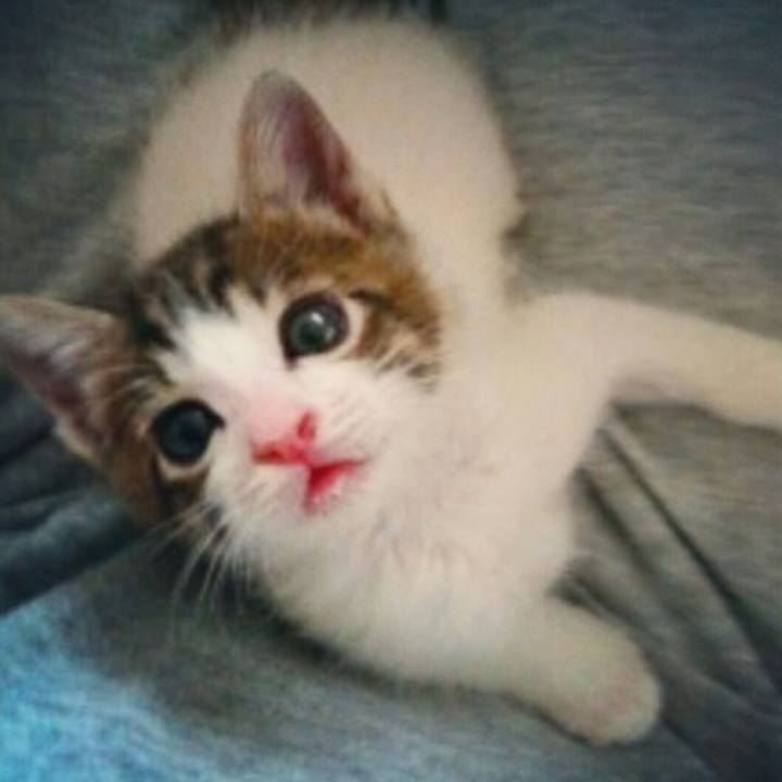 F2d69c89 fb97 456b afcd 3cec4b03ebe3