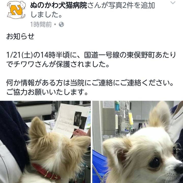 F2d6a1f4 49ef 4824 b8dd 899a8c4d731b