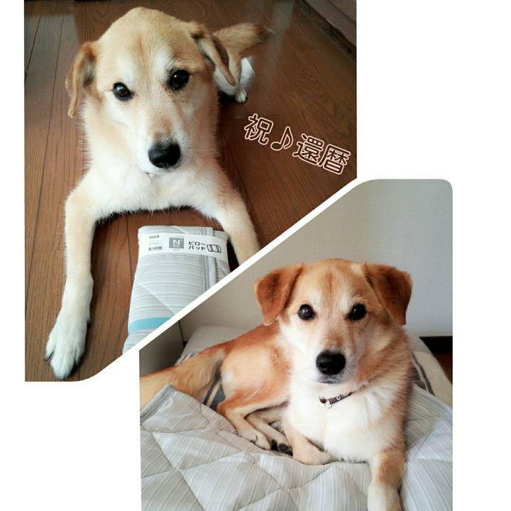 F2d70273 0569 430b 91a6 a5481a6fd0bc