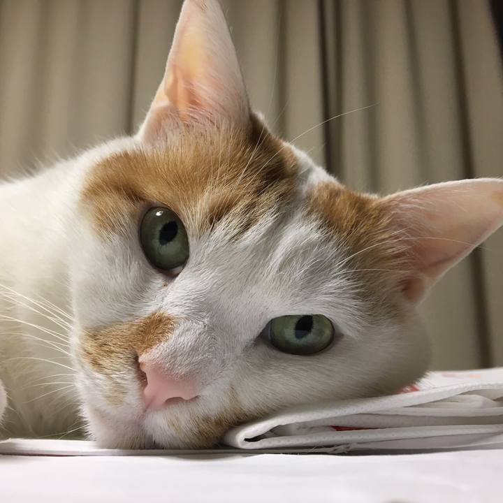 F2d71b3e 9631 4656 ad6d 6a89b6fb22a6