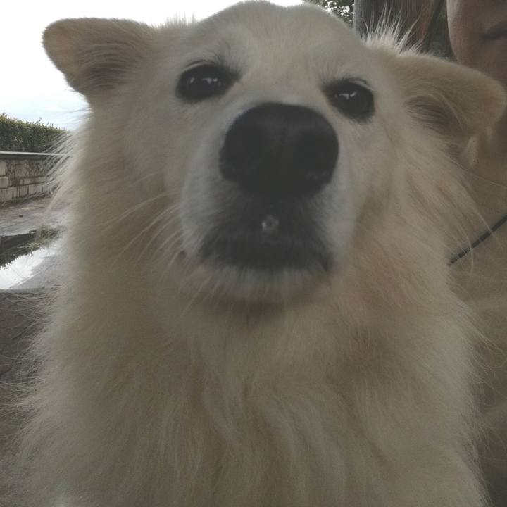 F2d7a053 8ae0 4526 88fb 4aa454df18d4