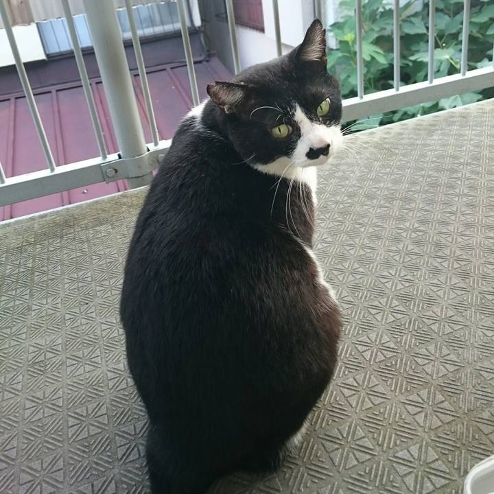 F2d7a9b1 a6c1 44af 8e57 16eb91d8d5a0