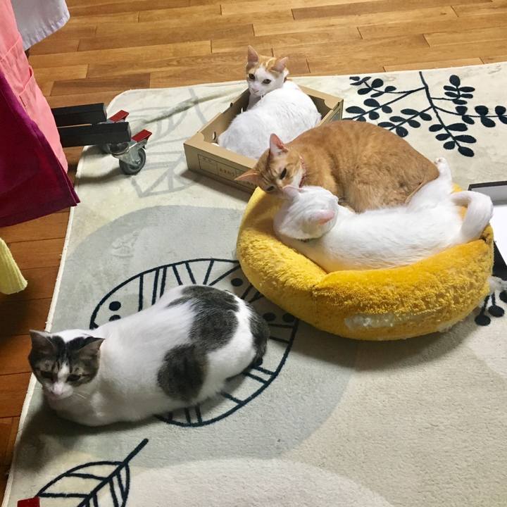 F2d813f3 16e7 4a10 b36d ecbf709e235b