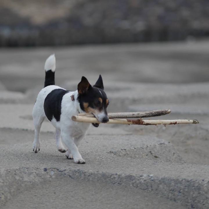 F2d852d2 e3db 4527 9b69 75ec3aa9f7c0