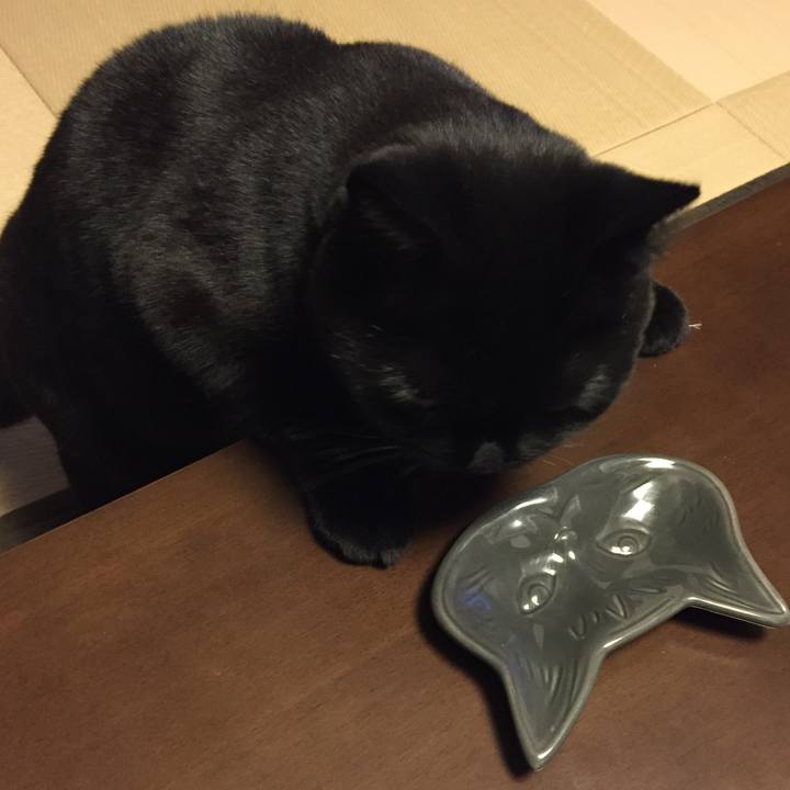 F2d991b9 a3e9 4fc4 ba47 630551de7834