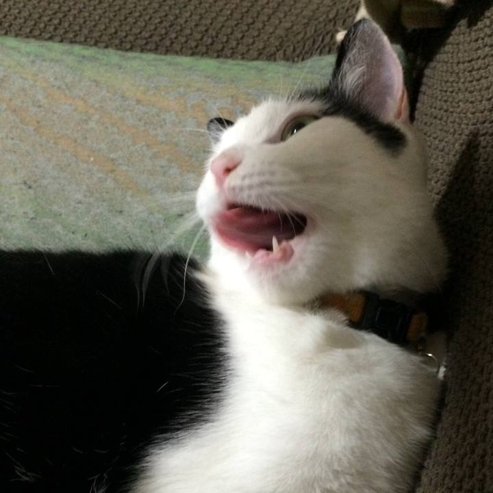 F2da6dd3 b1a5 41ea bc26 2ae9752e3a56