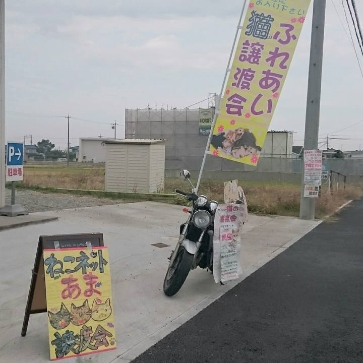 F2da861f 7453 458f ad07 3016d59af7bc