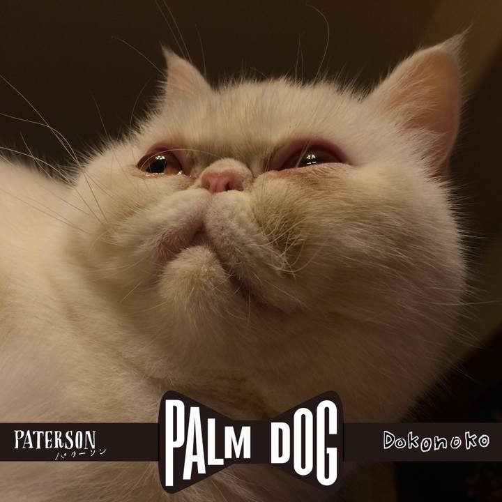 F2db1ee0 f574 4703 89e6 e12d8ef309bd