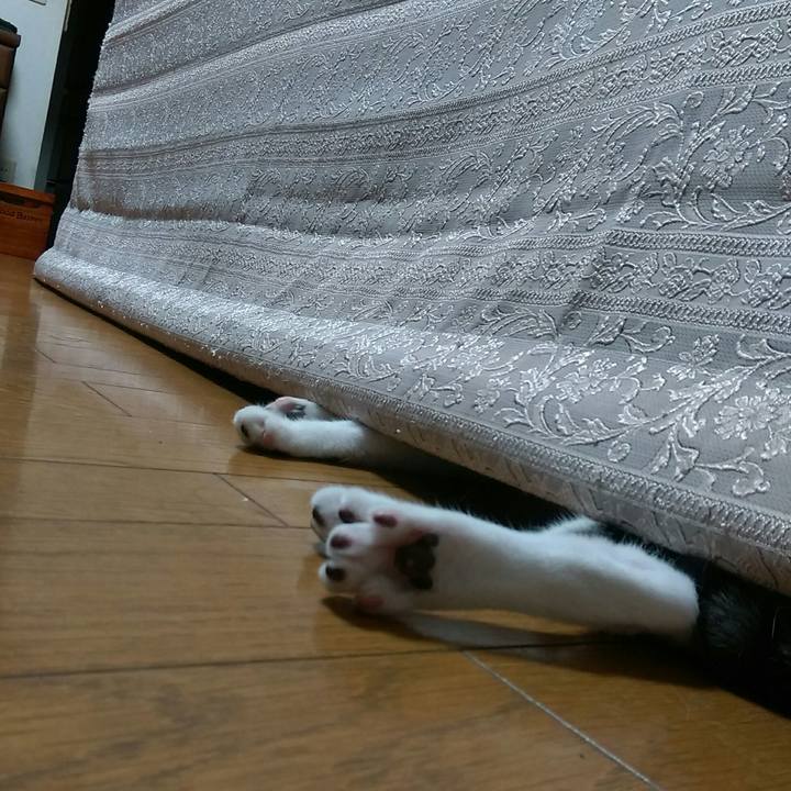 F2db5032 2044 4b40 96e8 7b679416375a