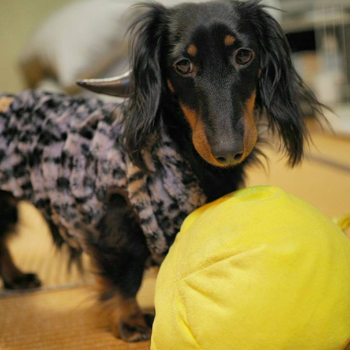 F2db8157 d7c5 4ae3 ba73 8bf7fa781123